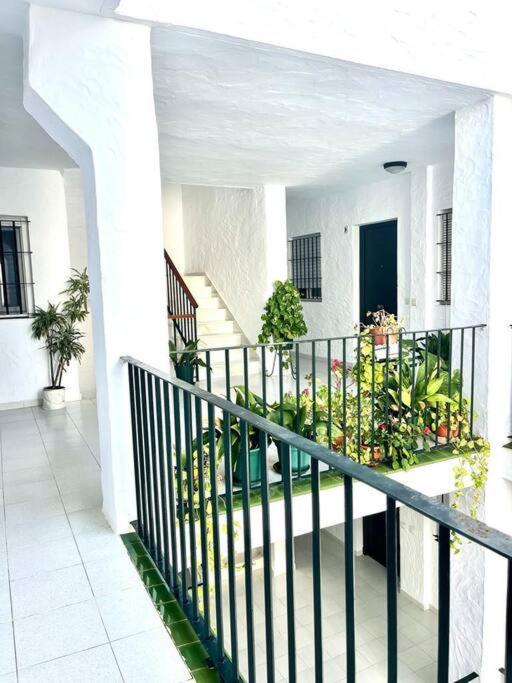 El Gato Gris Apartment Conil De La Frontera Luaran gambar